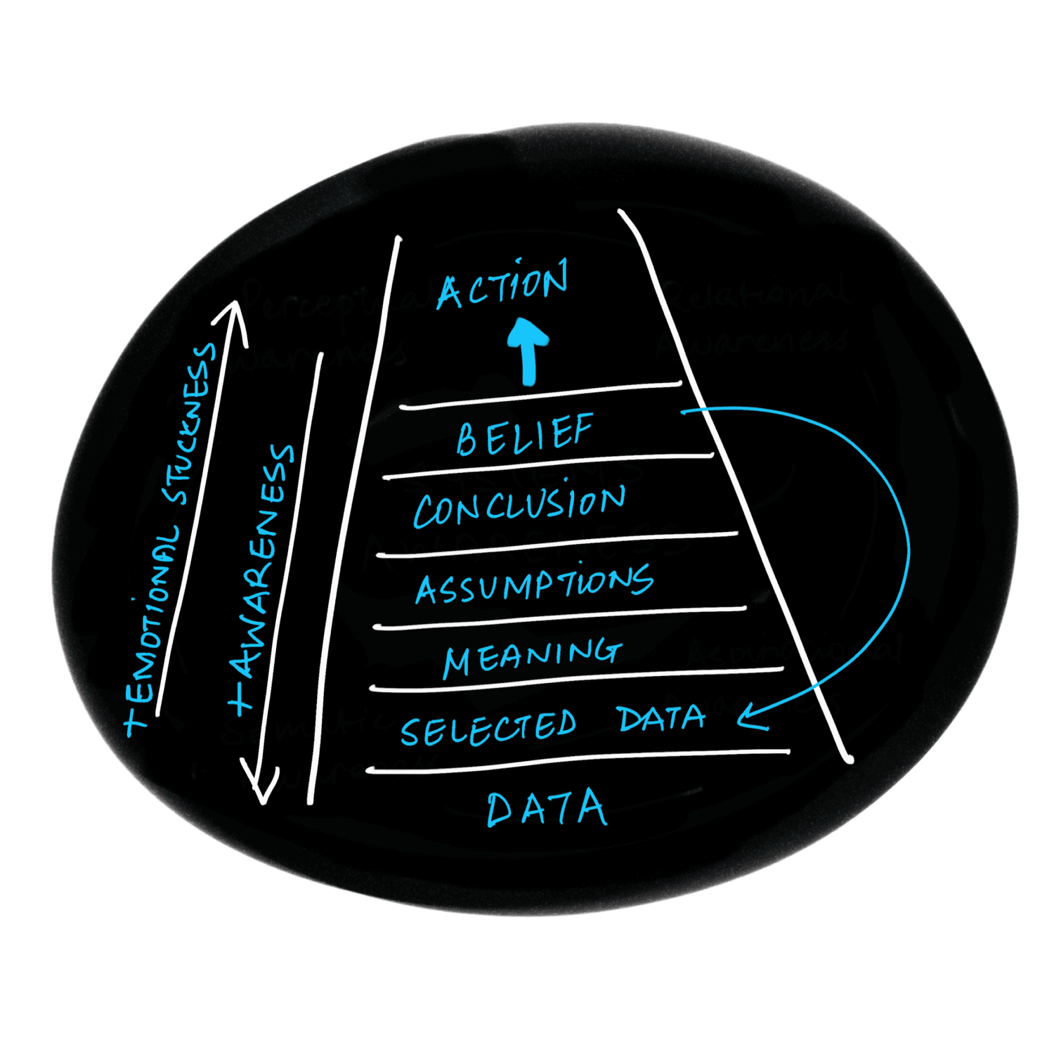 Ladder of Inference — Data, Selected Data, Meaning, Assumptions, Conclusion, Belief, Action
