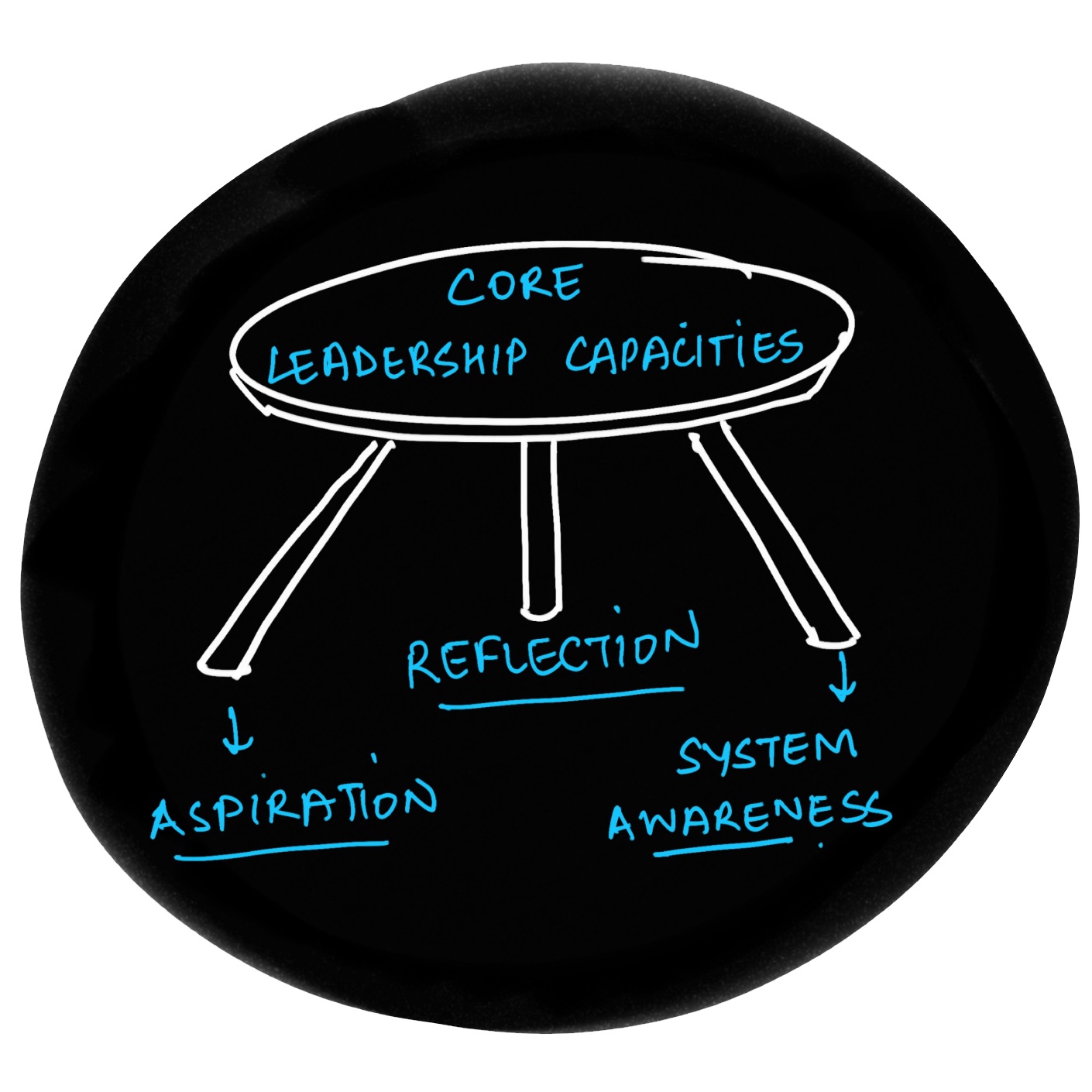 Core leadership capacities — aspiration, reflection, system awareness